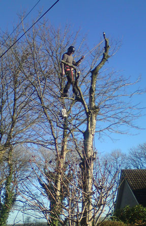 images/h.jpg#joomlaImage://local-images/h.jpg?width=287&height=442